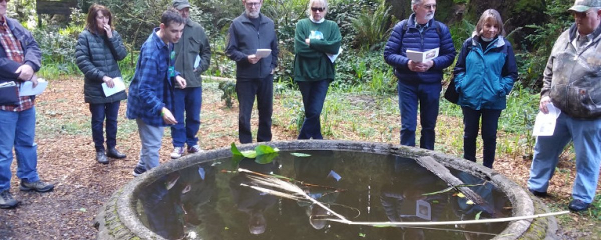 Christ Episcopal Church congregant Elliott Musante drops a stone into a water fountain near the duck pond in Sequoia Park last Saturday during the church’s “Sacred Saunter,” held every Saturday at 11 a.m. in the Eureka park through Lent. (Rob Peach — The Times-Standard)