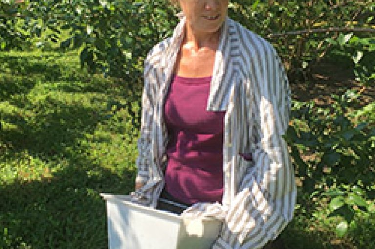 Sue Plummer - Gleaning Blueberries July 2018