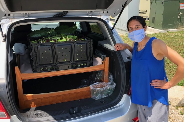 A volunteer loading a car for distribution