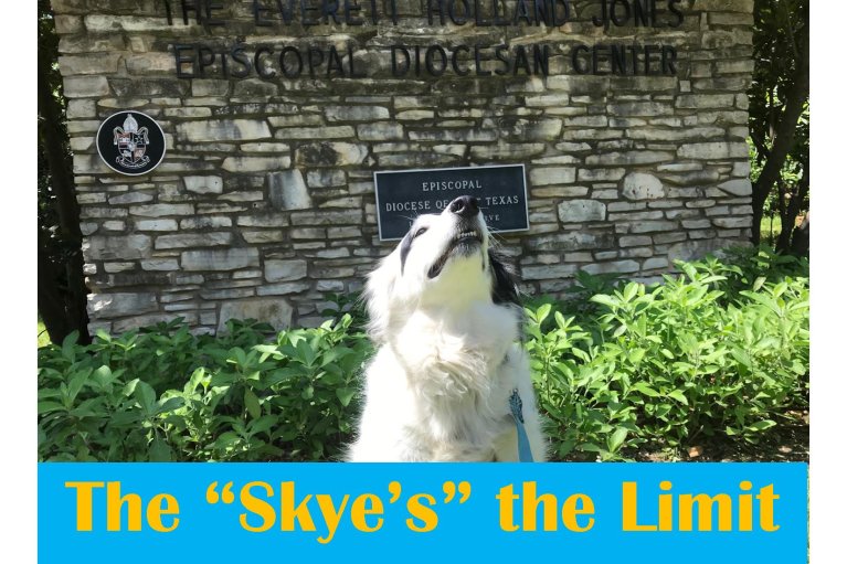 The Skye's the Limit 