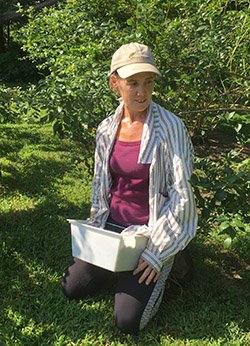 Sue Plummer - Gleaning Blueberries July 2018